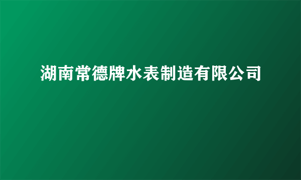 湖南常德牌水表制造有限公司