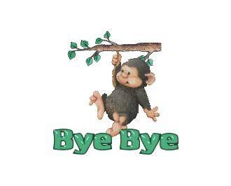 bye bye（英语词汇）