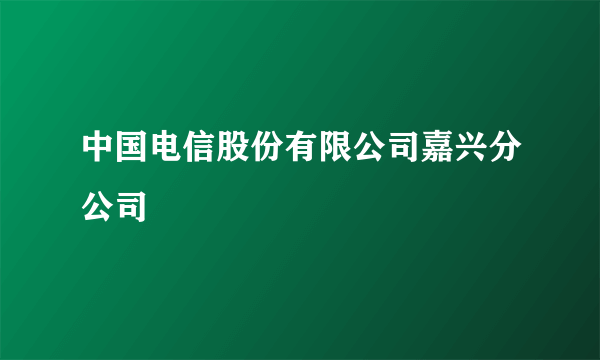 中国电信股份有限公司嘉兴分公司