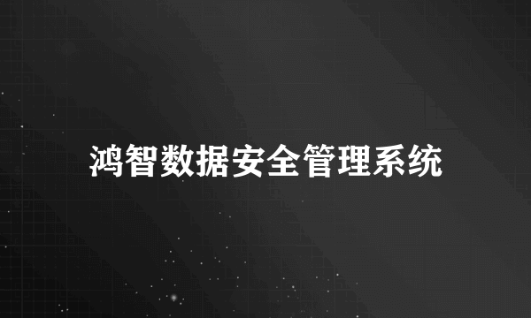 鸿智数据安全管理系统