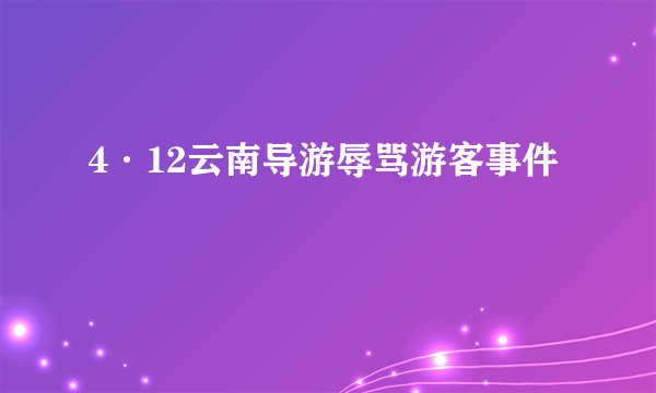 4·12云南导游辱骂游客事件