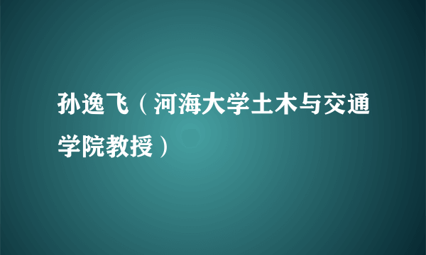 孙逸飞（河海大学土木与交通学院教授）