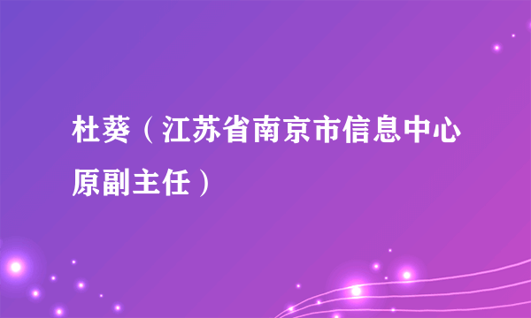 杜葵（江苏省南京市信息中心原副主任）