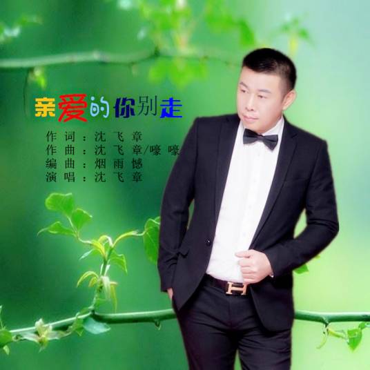 亲爱的你别走（2019年沈飞章演唱的歌曲）