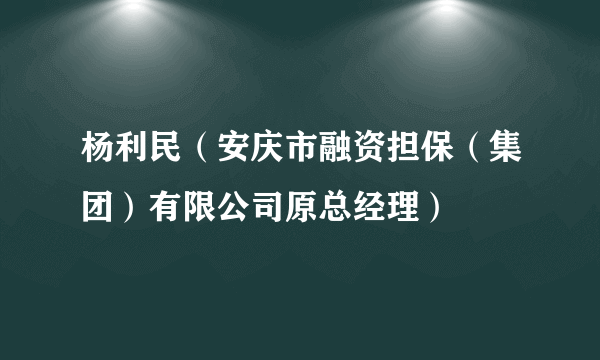 杨利民（安庆市融资担保（集团）有限公司原总经理）