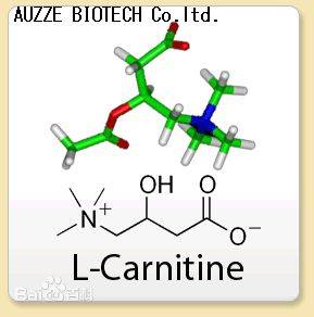 美国时刻左旋肉碱