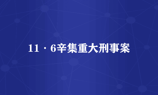 11·6辛集重大刑事案