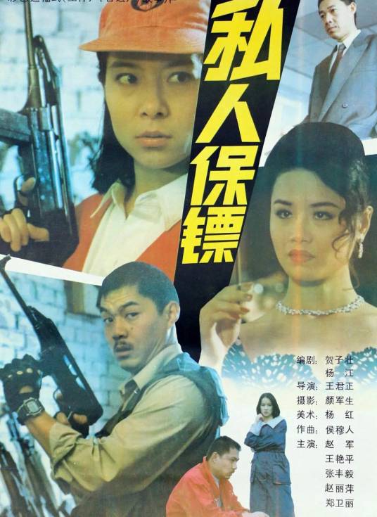 私人保镖（1992年王君正执导的动作电影）