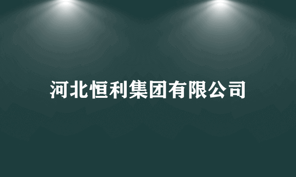 河北恒利集团有限公司