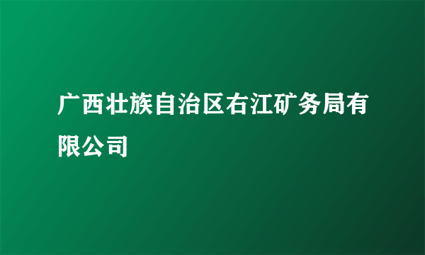 广西壮族自治区右江矿务局有限公司