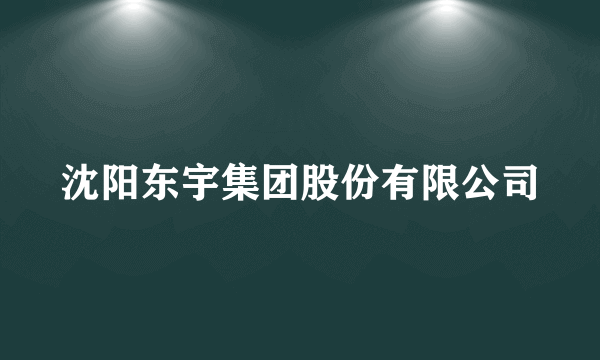 沈阳东宇集团股份有限公司