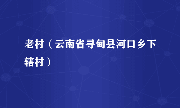 老村（云南省寻甸县河口乡下辖村）