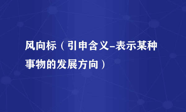 风向标（引申含义-表示某种事物的发展方向）