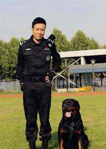 杜飞（电视剧《警花与警犬》中的男主角）