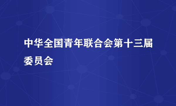 中华全国青年联合会第十三届委员会