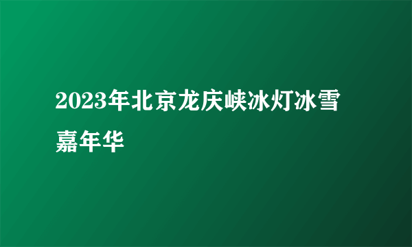 2023年北京龙庆峡冰灯冰雪嘉年华