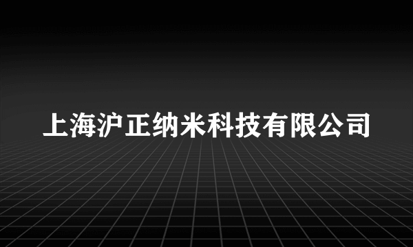 上海沪正纳米科技有限公司