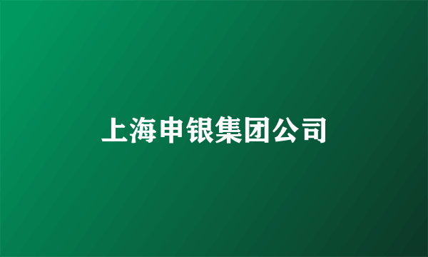 上海申银集团公司