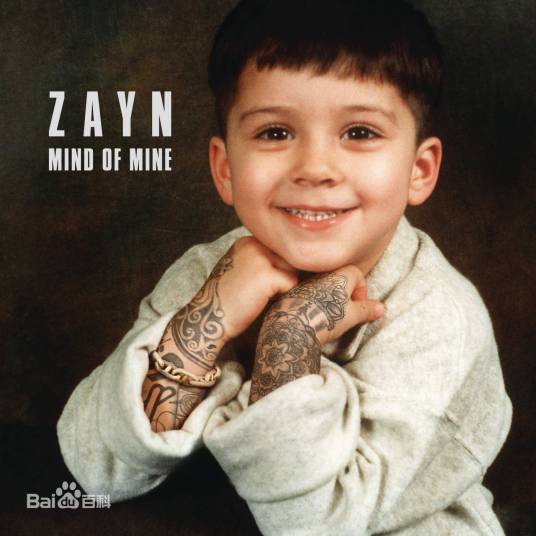 befour（zayn malik单曲）