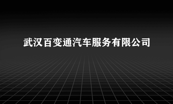 武汉百变通汽车服务有限公司