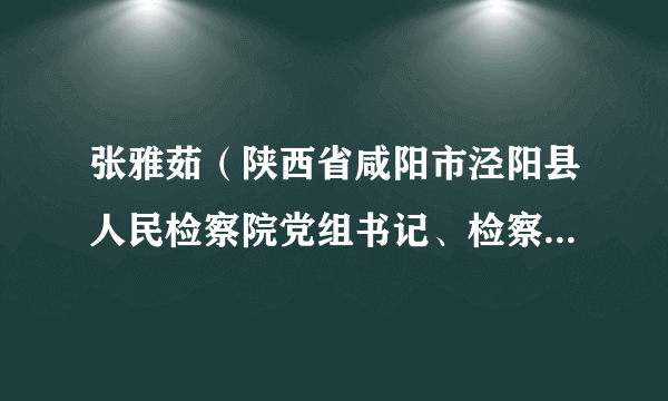 张雅茹（陕西省咸阳市泾阳县人民检察院党组书记、检察长、三级高级检察官）