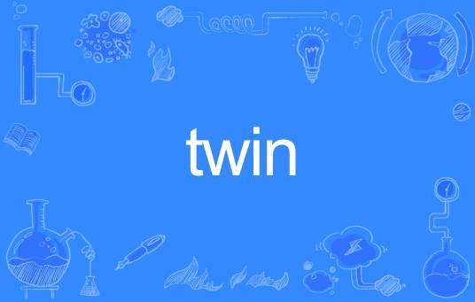 Twin（英语单词）