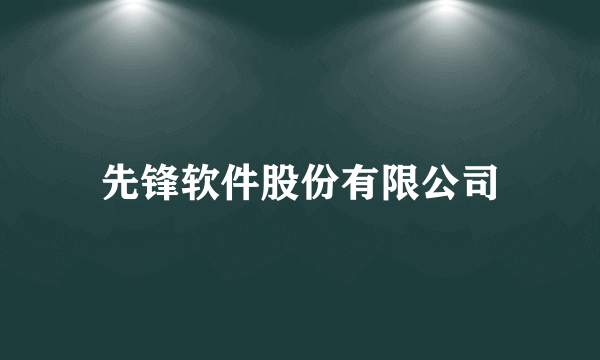 先锋软件股份有限公司