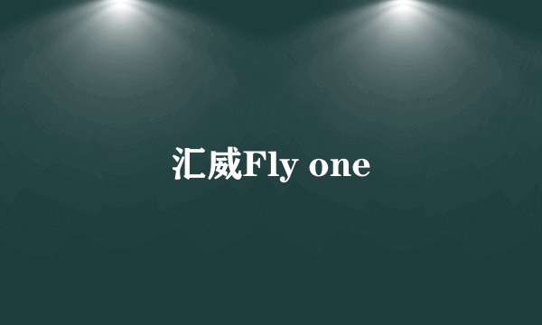 汇威Fly one