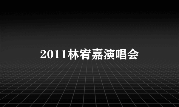 2011林宥嘉演唱会