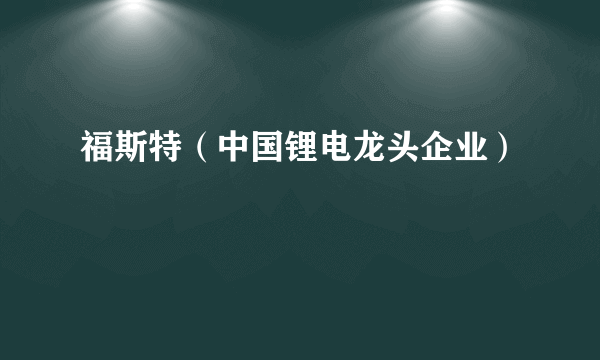 福斯特（中国锂电龙头企业）