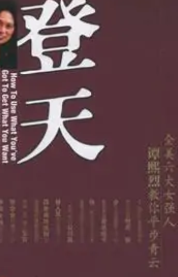 登天（2005年中信出版社出版的图书）