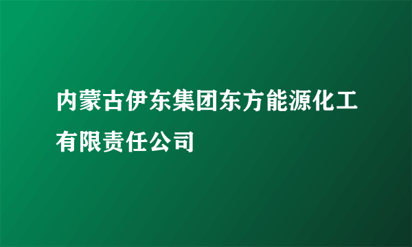 内蒙古伊东集团东方能源化工有限责任公司