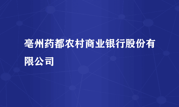 亳州药都农村商业银行股份有限公司