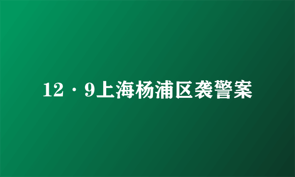 12·9上海杨浦区袭警案