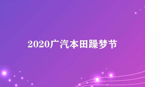 2020广汽本田躁梦节