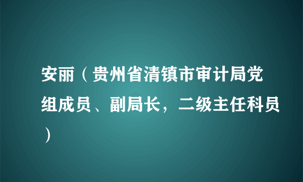 安丽（贵州省清镇市审计局党组成员、副局长，二级主任科员）