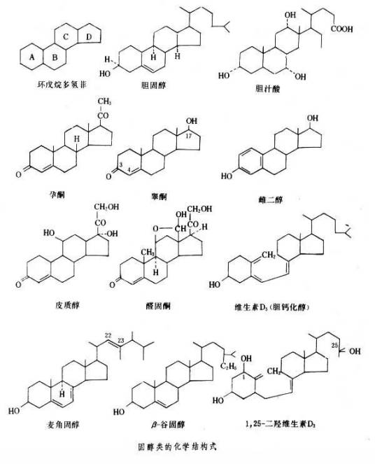 固醇类