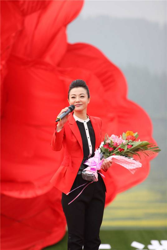 韦嘉（中国内地女歌手、音乐人）