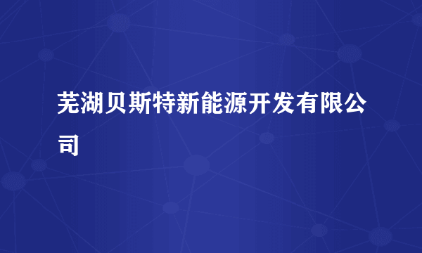 芜湖贝斯特新能源开发有限公司